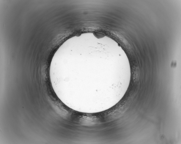 X0000093570455200711121041