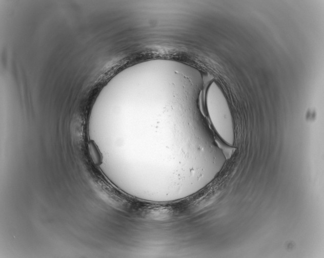 X0000093570456200711121041