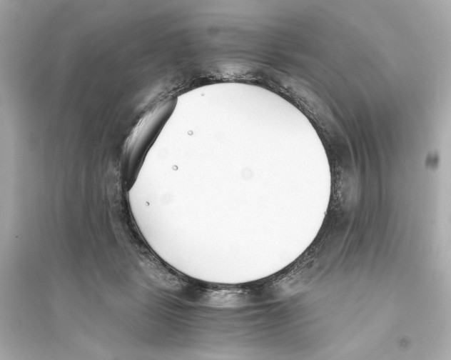 X0000093570461200711121041