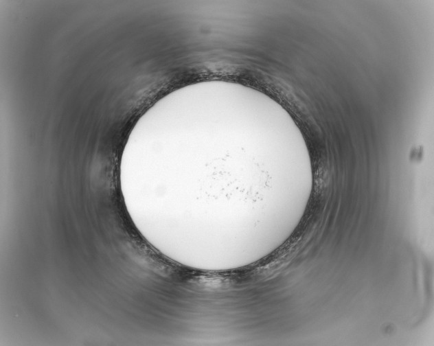 X0000093570464200711121041
