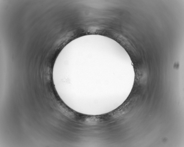 X0000093570470200711121041