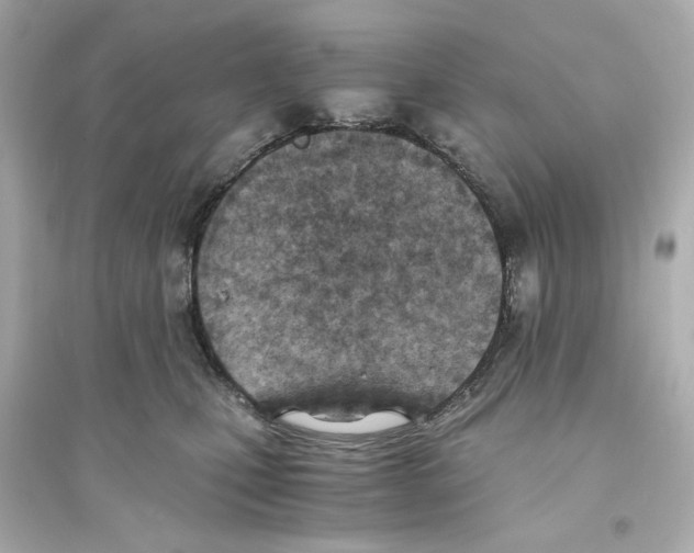 X0000093570471200711121041
