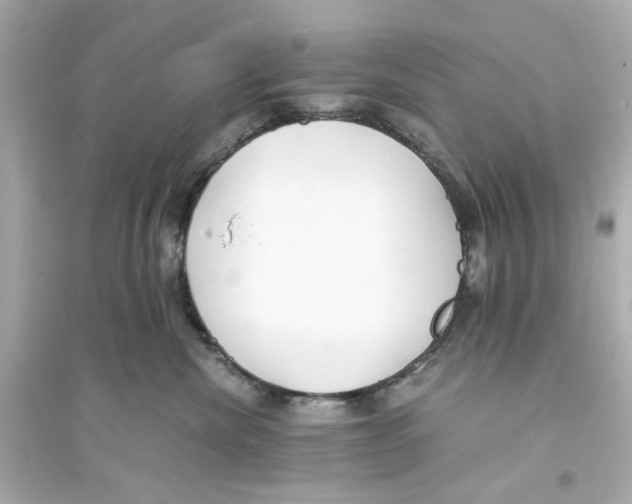 X0000093570476200711121041