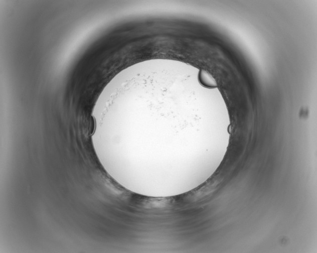X0000093570479200711121041