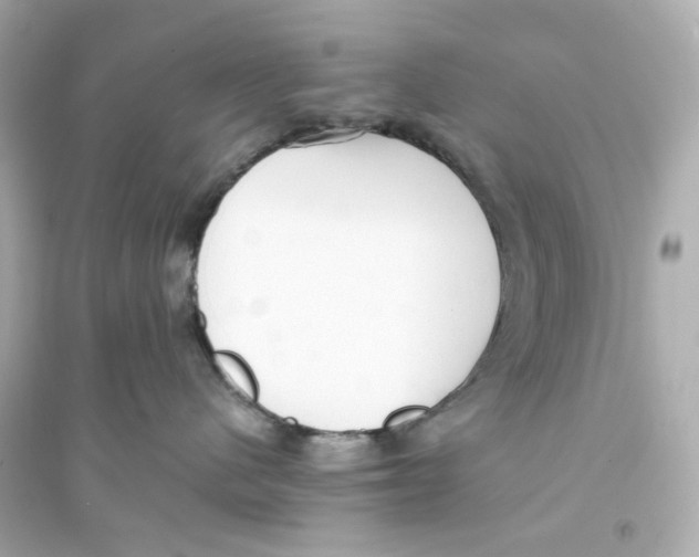 X0000093570480200711121041