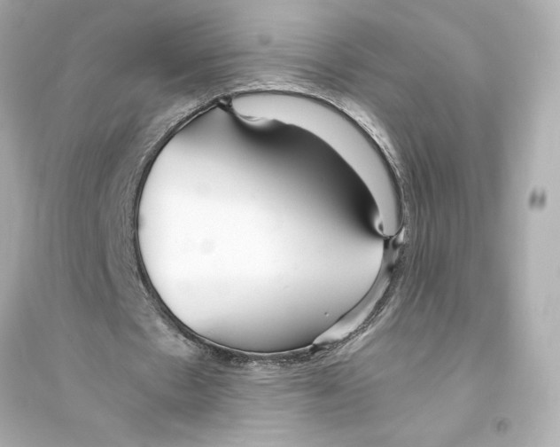 X0000093570481200711121041