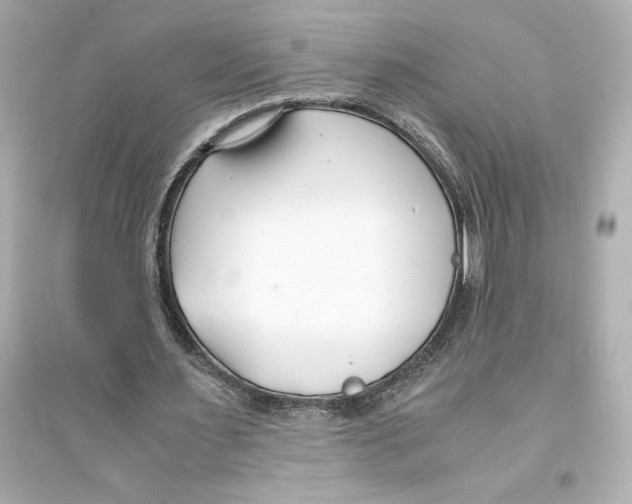 X0000093570483200711121041