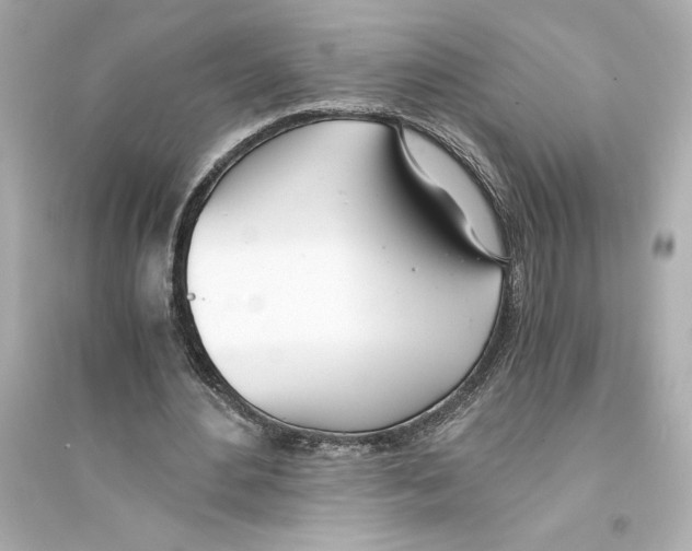 X0000093570484200711121041