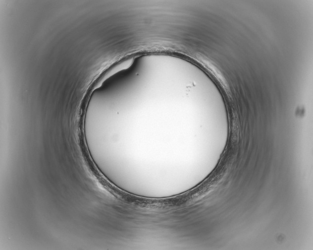 X0000093570485200711121041