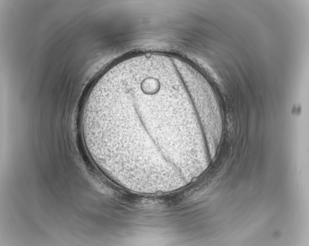 X0000093570487200711121041