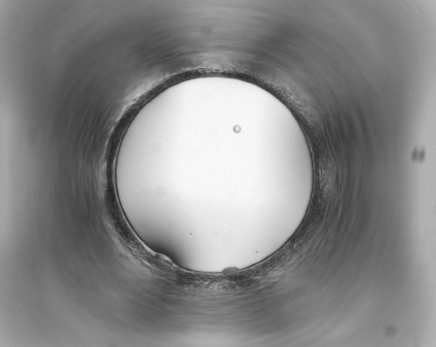 X0000093570488200711121041