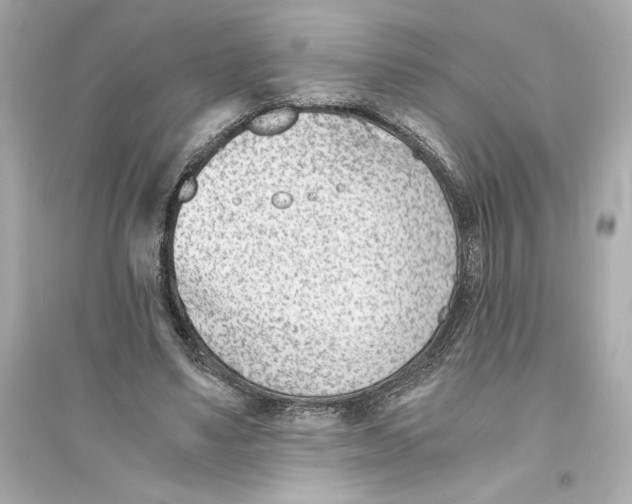 X0000093570491200711121041