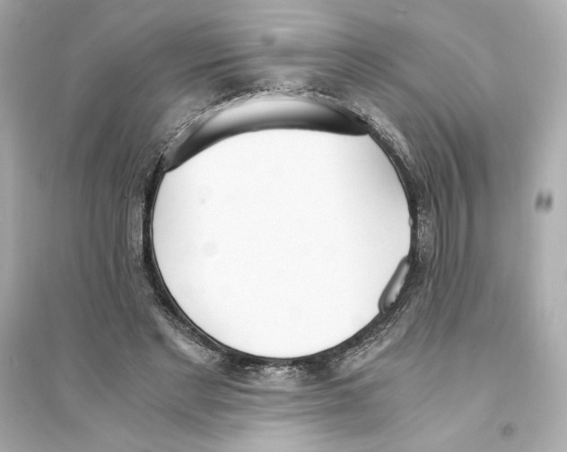 X0000093570493200711121040