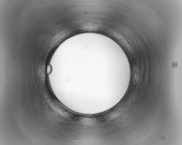 X0000093570494200711121040