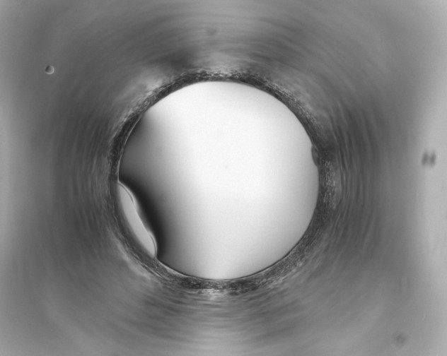 X0000093570496200711121040