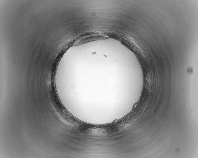 X0000093570500200711121040