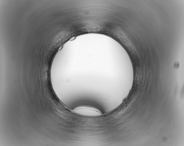 X0000093570501200711121040