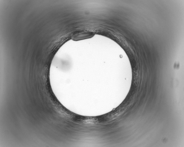 X0000093570505200711121040