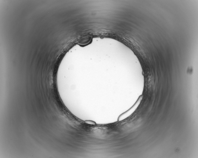 X0000093570508200711121040