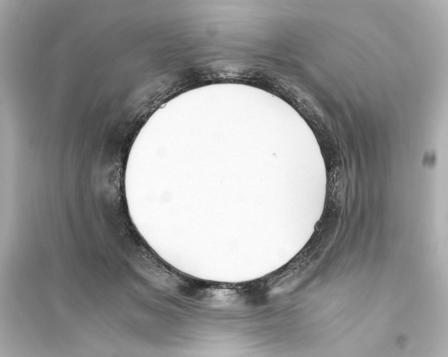 X0000093570509200711121040