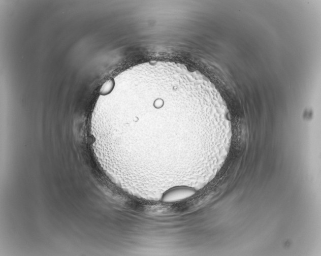 X0000093570511200711121040