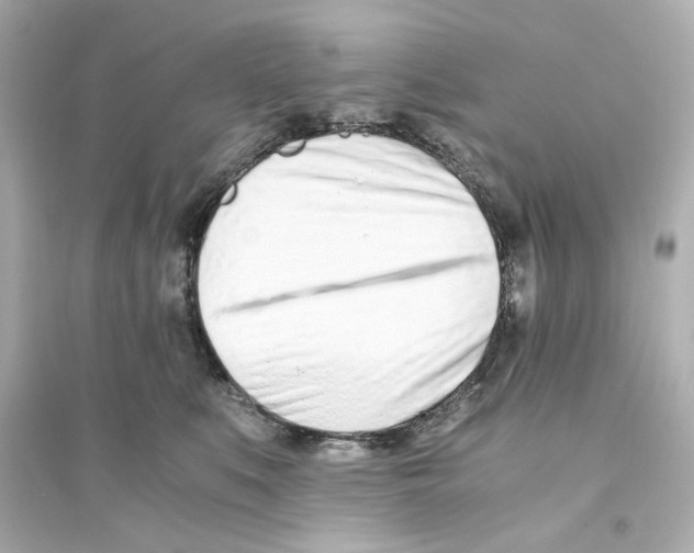 X0000093570519200711121040