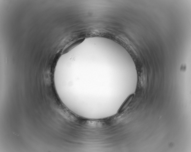 X0000093570520200711121040