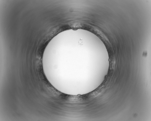 X0000093570521200711121040