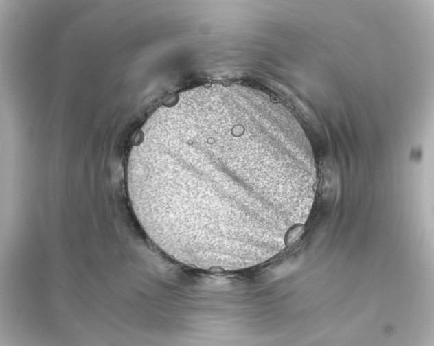 X0000093570523200711121040