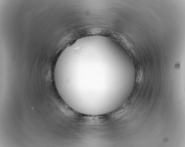 X0000093570524200711121040