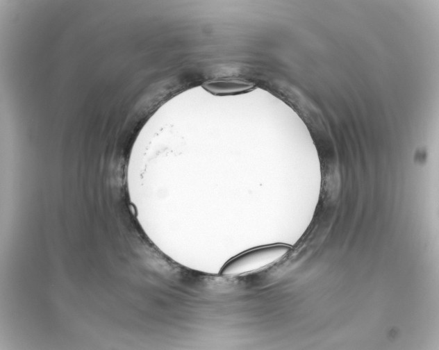 X0000093570525200711121040
