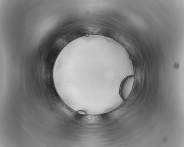 X0000093570526200711121040
