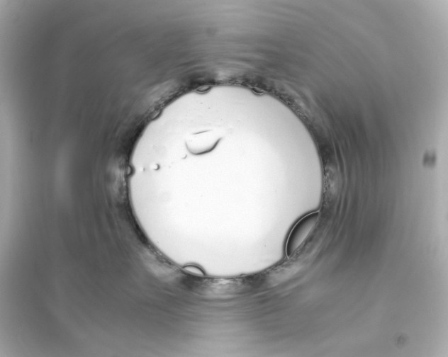X0000093570527200711121040