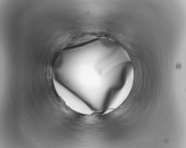 X0000093570528200711121040