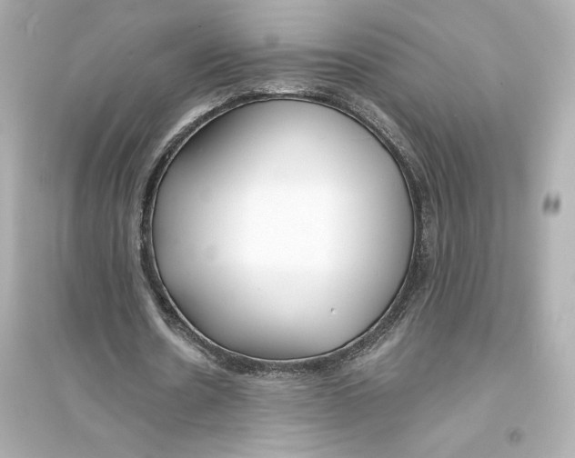 X0000093570530200711121039