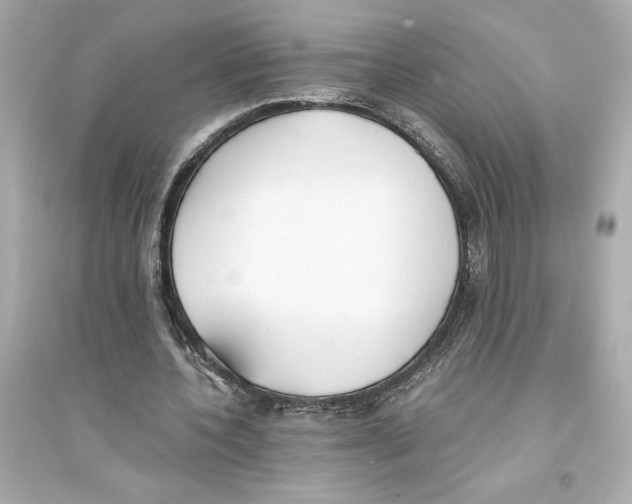 X0000093570532200711121039