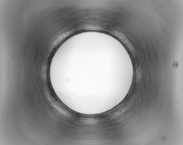 X0000093570533200711121039
