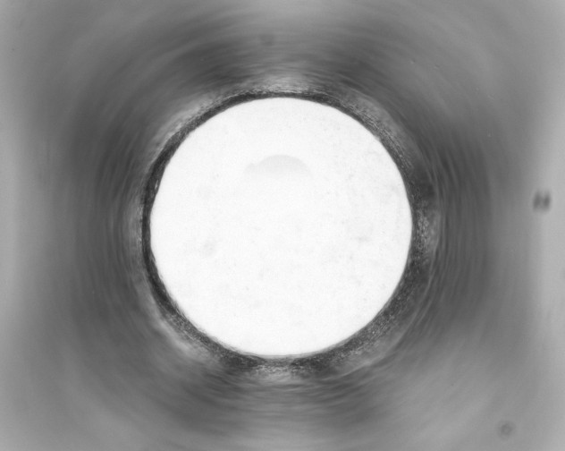 X0000093570534200711121039