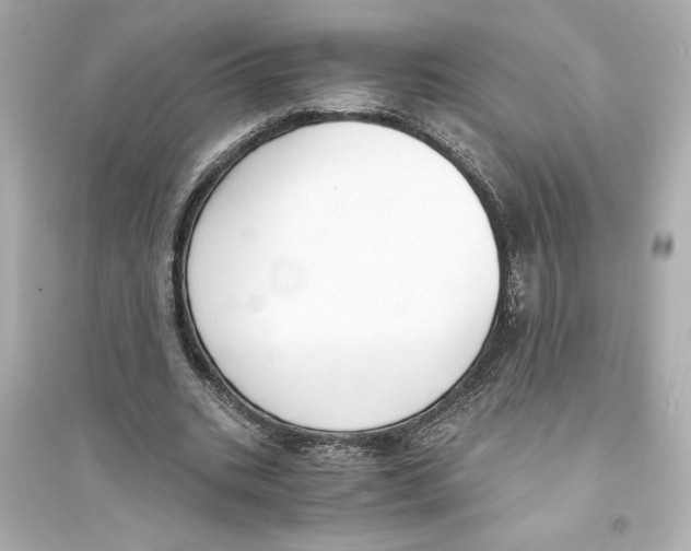 X0000093570535200711121039