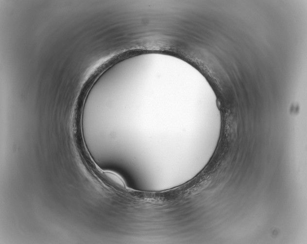 X0000093570536200711121039