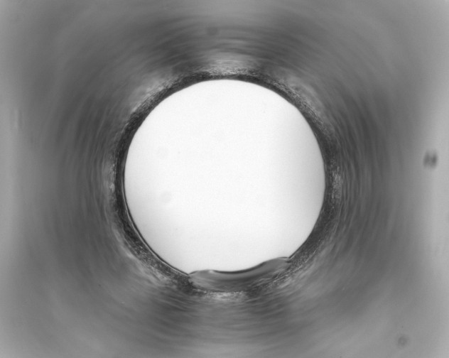 X0000093570539200711121039