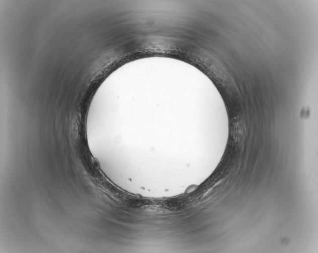 X0000093570544200711121039