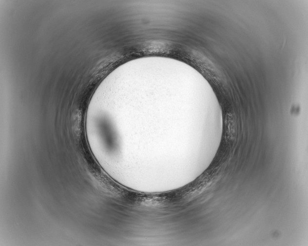 X0000093570550200711121040