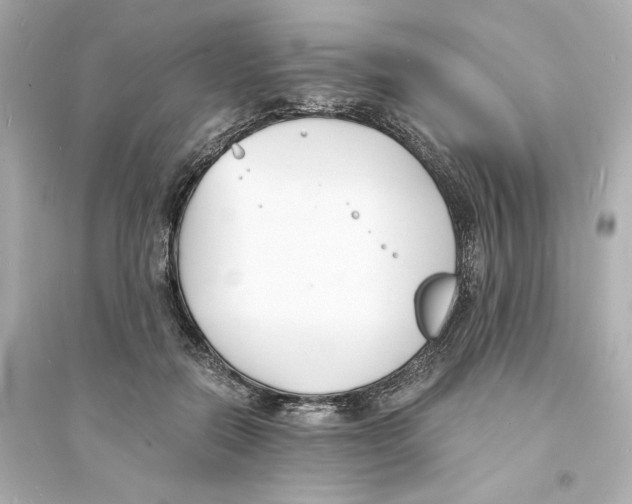X0000093570554200711121040