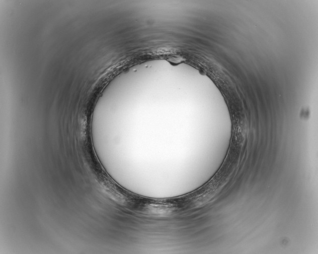 X0000093570556200711121040