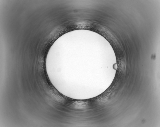 X0000093570557200711121040