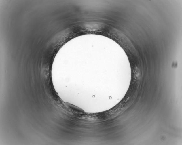 X0000093570559200711121040