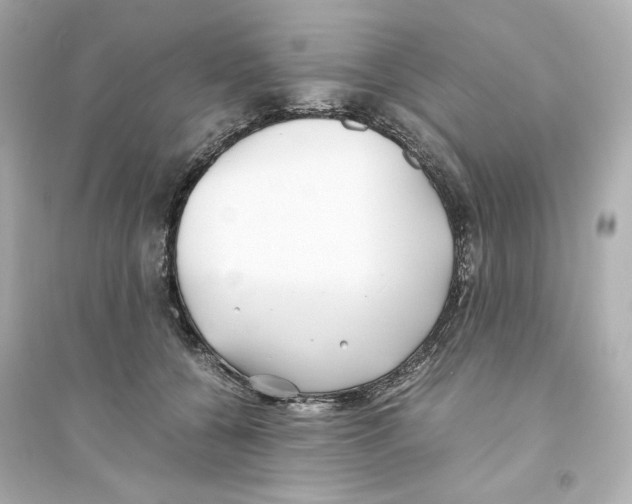X0000093570560200711121040