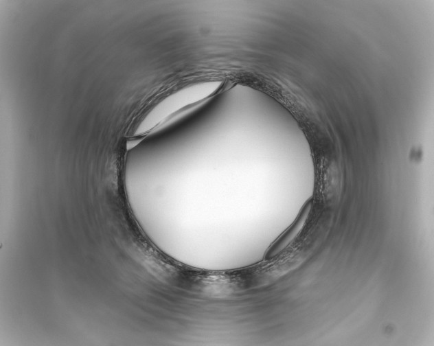 X0000093570562200711121040