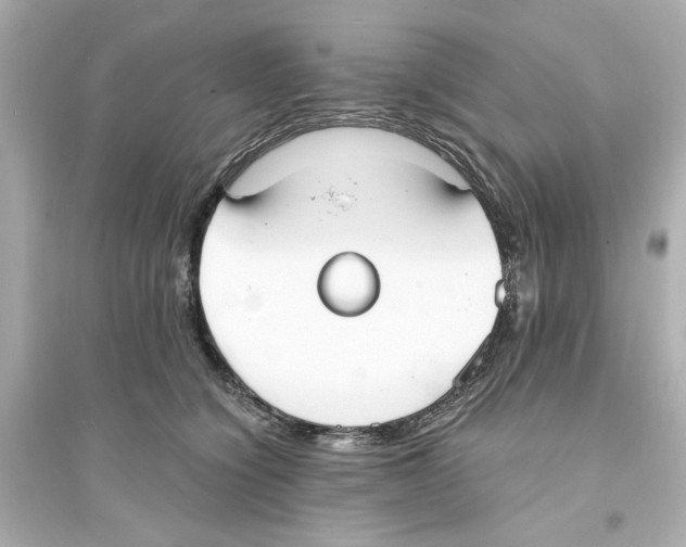 X0000093570564200711121040